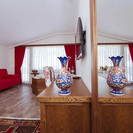 Infinity 3* 페티예